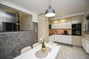 Kuchyňa alebo kuchynka v ubytovaní Apartament Wróbelkowo