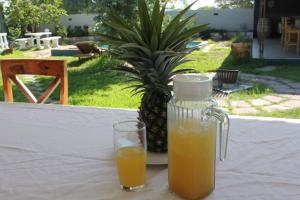 una botella de zumo y un vaso de zumo de naranja en Villa Graf en Ongwediva