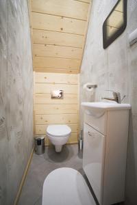 a small bathroom with a toilet and a sink at Urocze domki Zakopane in Zakopane