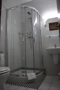 y baño con ducha, aseo y lavamanos. en Landhotel Rügen, en Stönkvitz