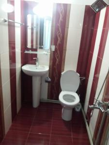 uma casa de banho com um WC e um lavatório em Guest House AHP em Mala Tsŭrkva