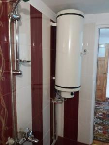 a bathroom with a shower and a water tank at Guest House AHP in Mala Tsŭrkva