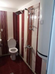 y baño con aseo y cabina de ducha. en Guest House AHP, en Mala Tsŭrkva