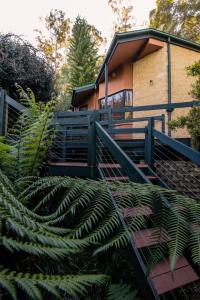 Galeriebild der Unterkunft Escarpment Retreat & Day Spa for Couples in Mount Tamborine + 123 Fotos