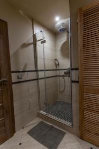La salle de bains est pourvue d'une douche avec une porte en verre. dans l'établissement apartmán v srdci Českého ráje, à Jičín