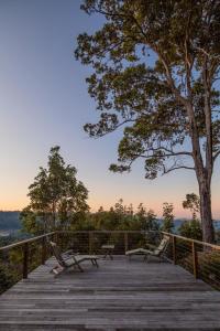 a wooden bench sitting on top of a wooden walkway at Escarpment Retreat & Day Spa for Couples in Mount Tamborine