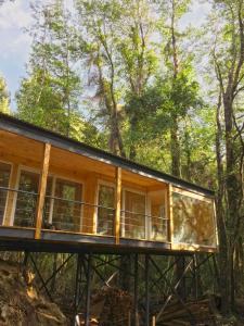 a house in the woods with a black roof at Ralun Patagonia in Ralún