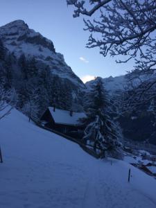 ein schneebedecktes Feld mit einer Scheune und einem Baum in der Unterkunft Chalet Grünegg in Grindelwald
