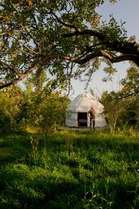a man standing in front of a yurt at Bel-Zhan Yurt Lodge in Grigor'yevka