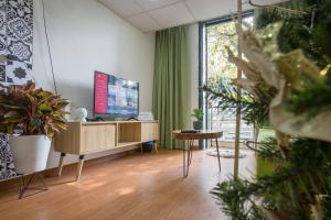 an office with a desk and a tv and plants at KemKay Homestay in Hanoi