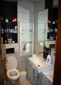 ein Badezimmer mit einem WC, einem Waschbecken und einem Spiegel in der Unterkunft Fenix Cvetni trg in Belgrad