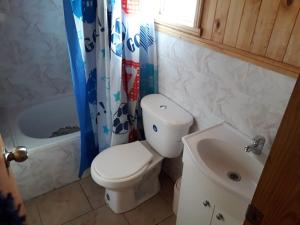 a bathroom with a white toilet and a sink at Hostal Rayen in Villarrica