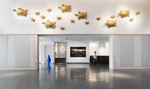 a man walking through a museum with pigs on the wall at 21c Museum Hotel Lexington in Lexington