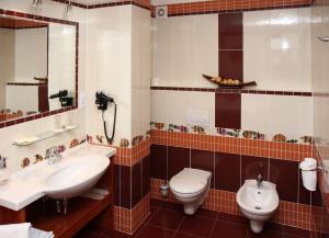 Bagno di Hotel Česká Koruna