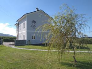 Příroda nedaleko hostelu