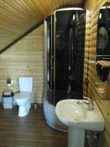 a bathroom with a shower and a sink and a toilet at Hotel Коттедж Leleka Vyzhnynsia in Rivna