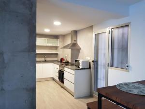 Kuchyň nebo kuchyňský kout v ubytování Classic Flat Valencia