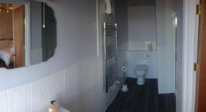 ein Bad mit einem WC und einem Spiegel in der Unterkunft The Wimslow in Morecambe
