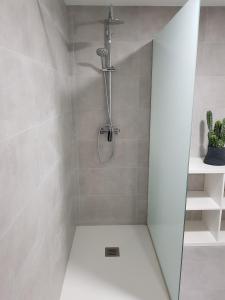バレンシアにあるClassic Flat Valenciaのバスルーム(シャワー、シャワーヘッド付)が備わります。