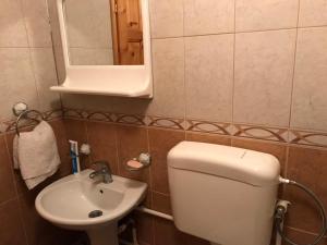 a bathroom with a toilet and a sink and a mirror at Durmitorska kuća in Žabljak