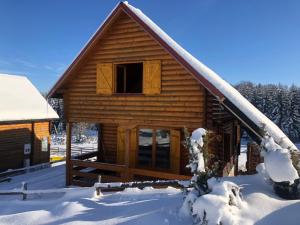 a log cabin in the snow with a window at Durmitorska kuća in Žabljak