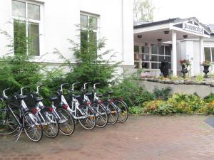 Jízda na kole v ubytování Blommenhof Hotel nebo okolí