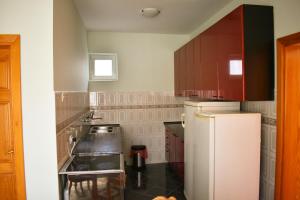 Η κουζίνα ή μικρή κουζίνα στο Danube star 2