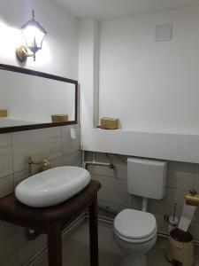 LupeniにあるCabana Alenaの白いトイレと洗面台のあるバスルーム