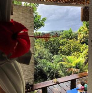 una persona sosteniendo una rosa roja mirando por una ventana en Casa Bela do Sol, en Isla de Boipeba
