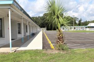 a parking lot with a palm tree next to a building at Royal Inn Motel in Perry