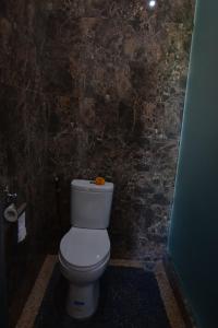 y baño con aseo y pared de piedra. en Wanagiri Cosmic Nature Villa, en Bedugul