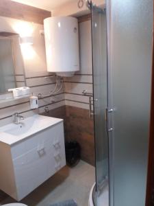 a bathroom with a shower and a sink and a mirror at Apartments Vila Zubović in Kopaonik