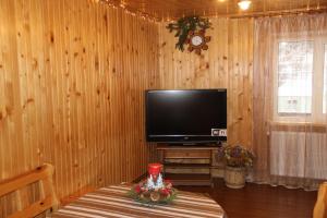 TV a/nebo společenská místnost v ubytování Cottage Milena