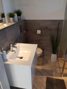 Koupelna v ubytování Larida