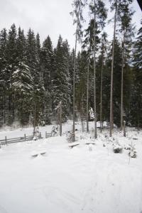 Guest house Alyaska durante l'inverno