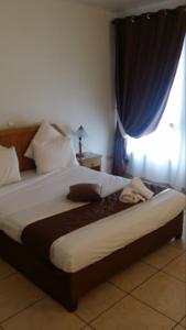 Billede fra billedgalleriet på Hotel El Biar i Algier + 24 billeder