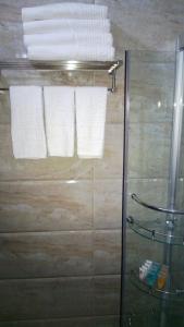 a bathroom with a glass shower stall with towels at Seven Wonders Hotel in Wadi Musa