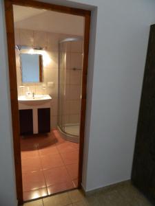 a bathroom with a sink and a shower and a mirror at Casa Juliana in Rîu Bărbat