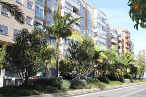 Gallery image of Málaga Beauty Home in Málaga