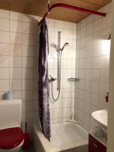 Ένα μπάνιο στο The Engstligen +35 φωτογραφίες