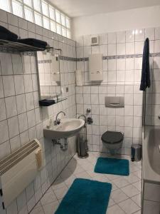 A bathroom at Julien Felix 1