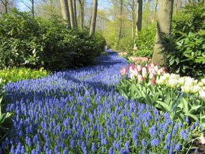 Afbeelding uit fotogalerij van JaBaKi Child friendly home in Hoofddorp