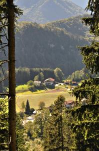 einen Blick auf ein Tal mit einem Berg im Hintergrund in der Unterkunft Greinhof in Fischbachau