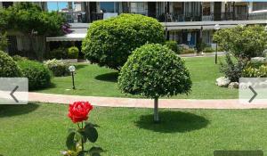 Zahrada ubytování Casa María Carihuela Park Palace