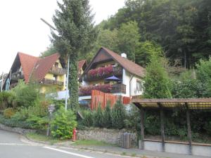 Zahrada ubytování Apartments in Behringersmühle