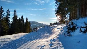 겨울의 Bergzeit Klippitz