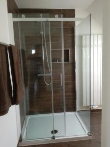 a shower with a glass door in a bathroom at Haus - Anni in Blieskastel
