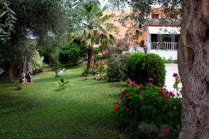 A garden outside Tina Hotel