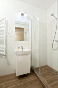 スンマルティンにあるPensiunea SanMartinの洗面台とシャワー付きの白いバスルーム
