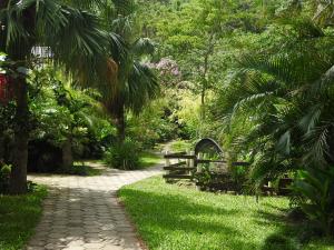 a path in a park with palm trees and a fence at Pousada do Pescador in Florianópolis